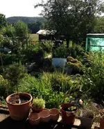 Garten3.webp