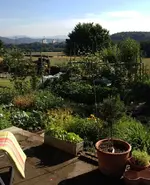 Garten4.webp