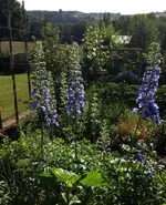 Gartensicht1.webp