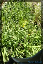 comp_DSC01601.webp