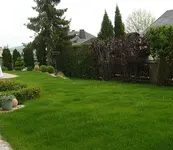 Garten im Mai2010 015.webp
