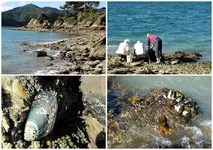 Muscheln sammeln Collage btv.webp