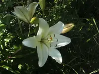 BILD0764.webp