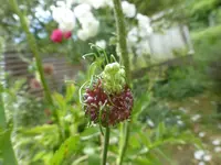 P1110731.webp