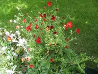 BILD2899.webp
