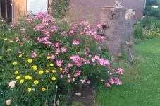 IMAG2113.webp