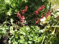 BILD2901.webp