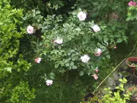 BILD2898.webp