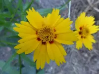 P1110627.webp