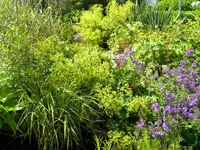DSCN8534.webp