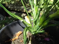 DSCF4964.webp