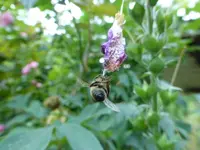 P1110617.webp