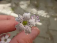 P1110216.webp