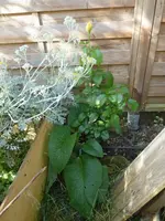P1110030.webp