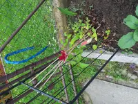 20140518_145002.webp