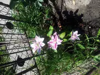 20140612_144441.webp