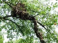 DSCF3553.webp