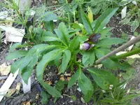 P1110802.webp