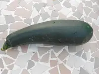 DSCN3356.webp