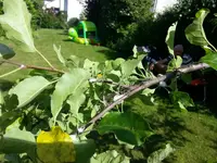 20140608_163529.webp