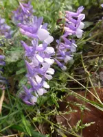 P1110535.webp