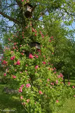 IMG_1128.jpg