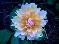 ´gtz 010.webp