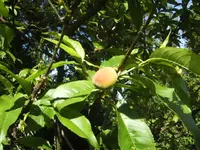 BILD2870.webp