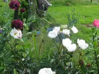 003_1024x768.webp