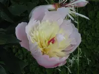 006_1024x768.webp