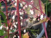 009_1024x768.webp