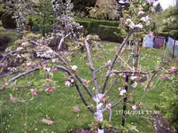 DSCF0039.webp