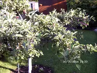 DSCF0044.webp
