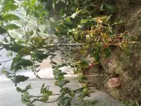20140613_122935.webp