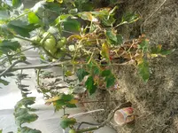 20140613_122940.webp