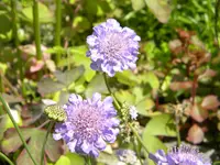 DSCN8535.webp