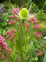 DSCN8557.webp