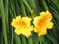 Bilda 0631.webp