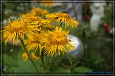 comp_DSC01615.webp