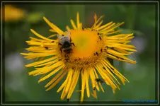 comp_DSC01618.webp