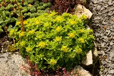 Sth 14-06-12-2605.webp
