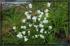 comp_DSC01545.webp