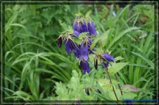 comp_DSC01547.webp