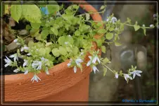 comp_DSC01548.webp