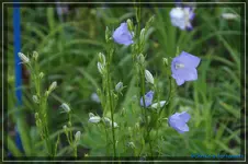 comp_DSC01551.webp