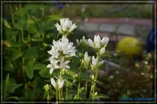 comp_DSC01624.webp