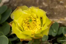 Sth 14-06-12-2601.webp
