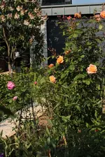 Westerland 140518.webp