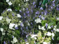 002_1024x768.webp