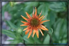 comp_DSC01625.webp